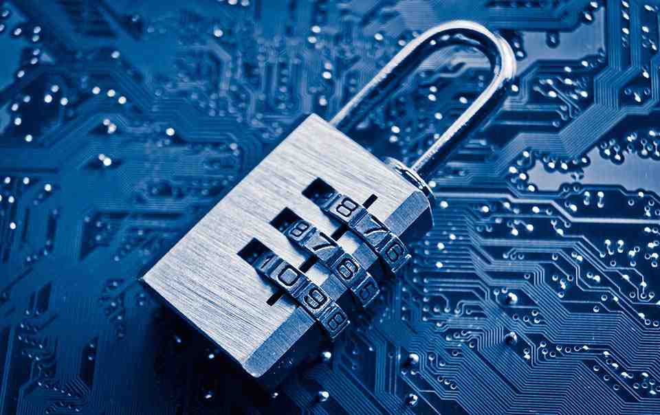 What are the 4 types of networks?