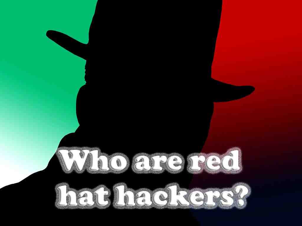 What are the 7 types of hackers?