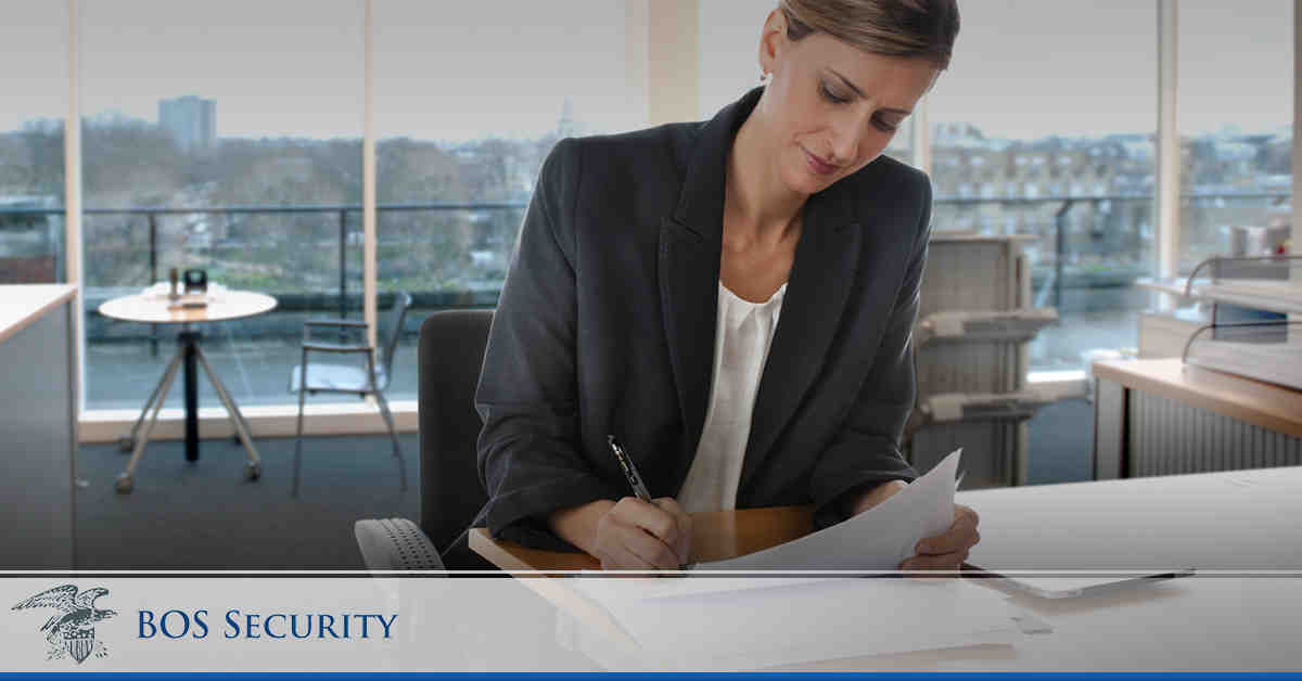 What are the three basics of IT security?