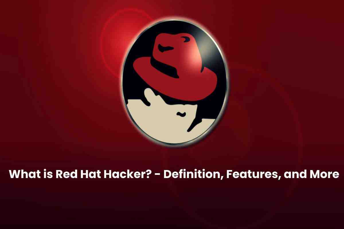 What is a purple hat hacker?