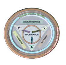 What's the function of an IT security?