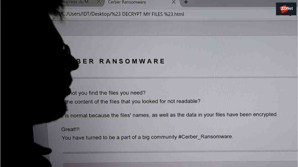 Who is most at risk in ransomware?