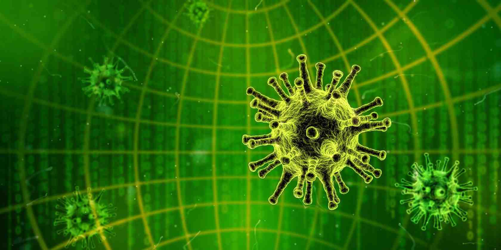 What are sources of computer virus?
