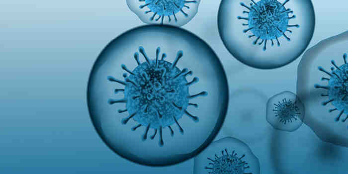 What are typically 3 methods of spreading computer virus?